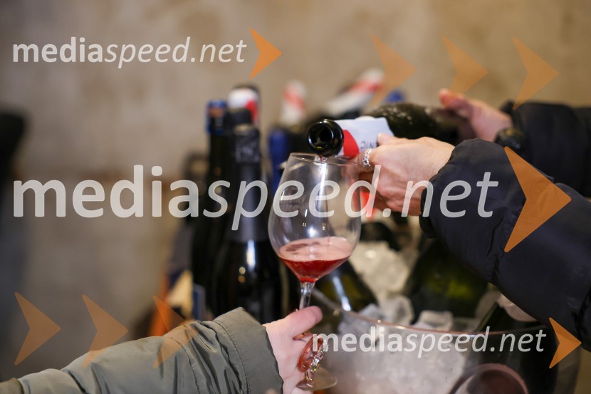 Vinska pot v rovih pod starim Kranjem 2025, sobota