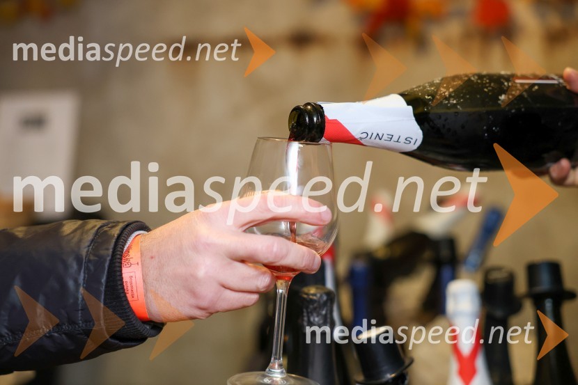 Vinska pot v rovih pod starim Kranjem 2025, sobota