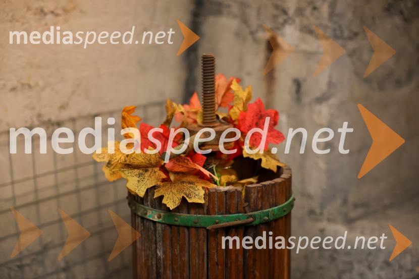 Vinska pot v rovih pod starim Kranjem 2025, sobota