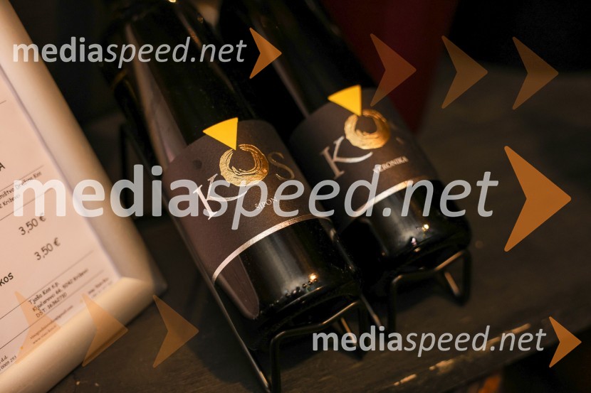 Vinska pot v rovih pod starim Kranjem 2025, sobota