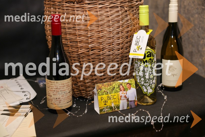 Vinska pot v rovih pod starim Kranjem 2025, sobota