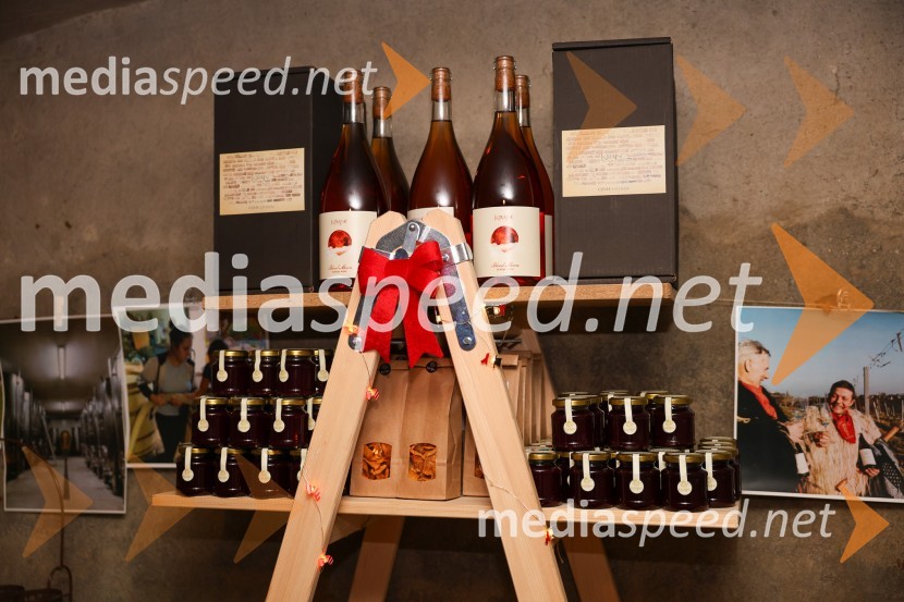 Vinska pot v rovih pod starim Kranjem 2025, sobota