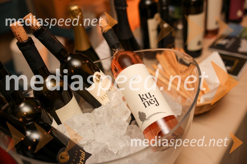 Vinska pot v rovih pod starim Kranjem 2025, sobota