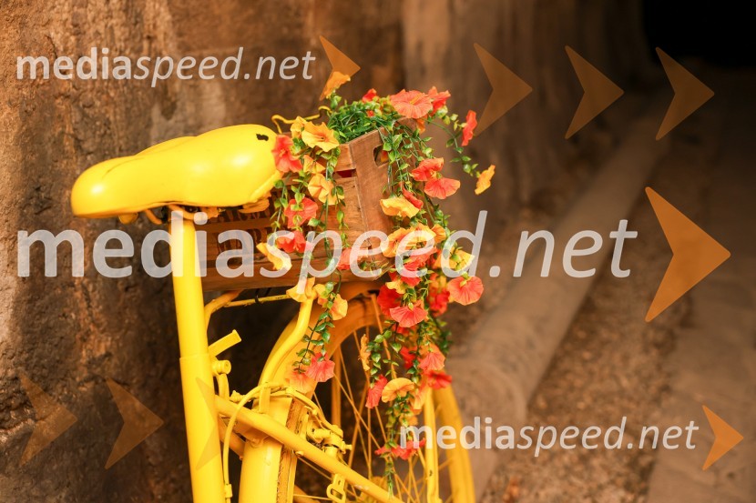 Vinska pot v rovih pod starim Kranjem 2025, sobota