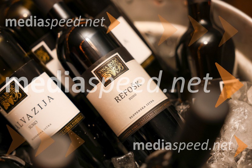 Vinska pot v rovih pod starim Kranjem 2025, sobota