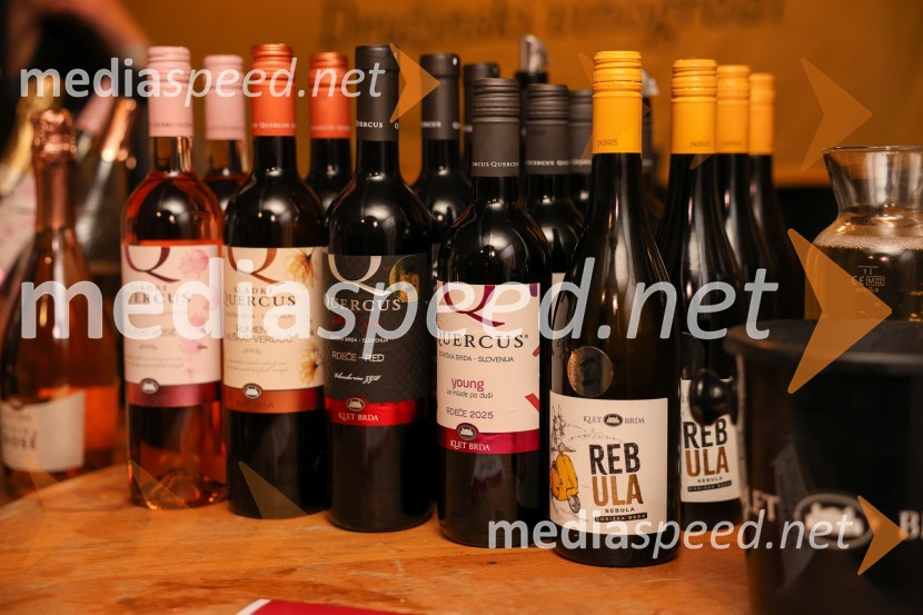 Vinska pot v rovih pod starim Kranjem 2025, sobota