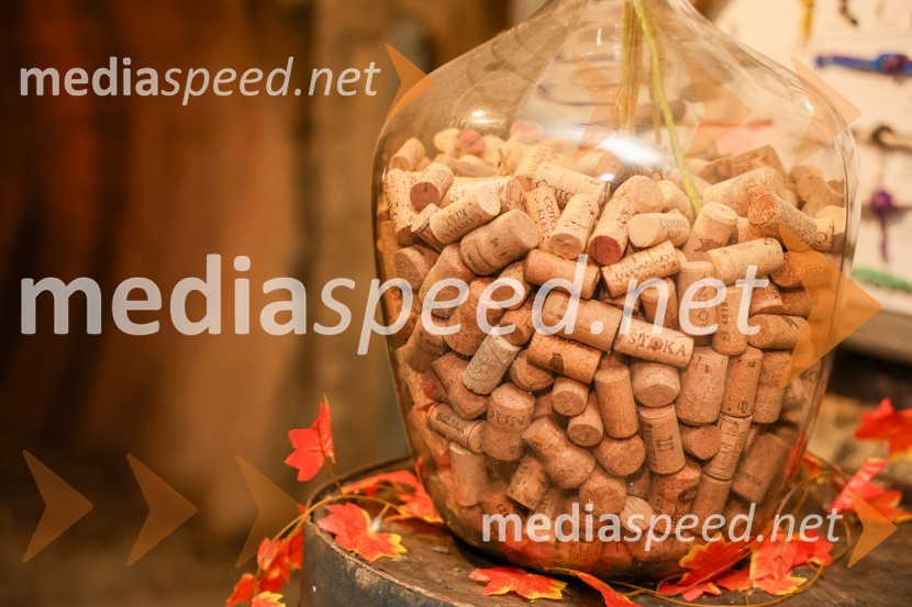 Vinska pot v rovih pod starim Kranjem 2025, sobota