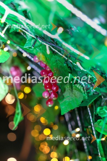 Vinska pot v rovih pod starim Kranjem 2025, sobota