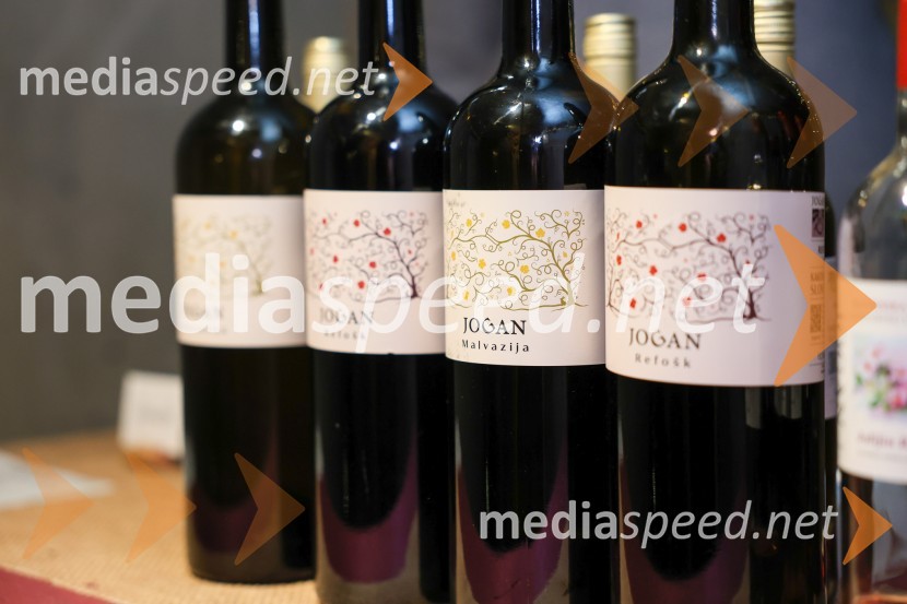 Vinska pot v rovih pod starim Kranjem 2025, sobota