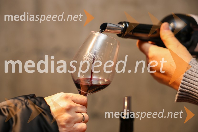 Vinska pot v rovih pod starim Kranjem 2025, sobota