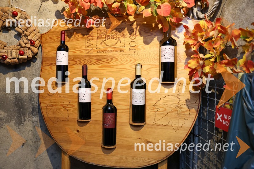 Vinska pot v rovih pod starim Kranjem 2025, sobota