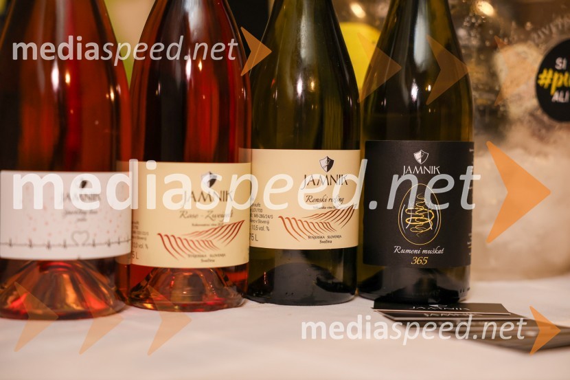 Vinska pot v rovih pod starim Kranjem 2025, sobota