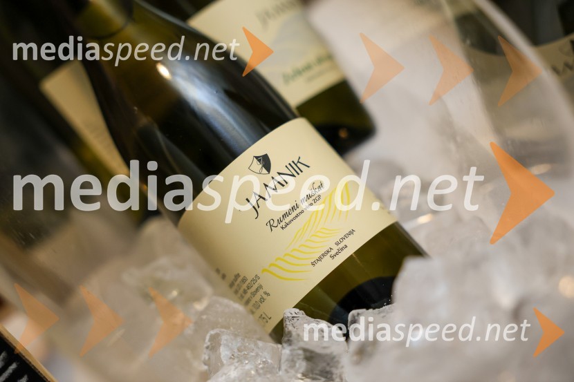 Vinska pot v rovih pod starim Kranjem 2025, sobota