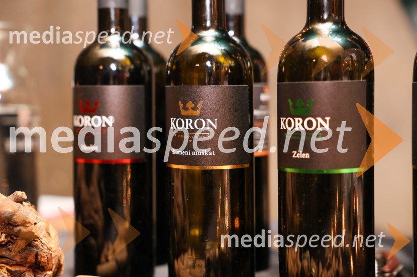 Vinska pot v rovih pod starim Kranjem 2025, sobota