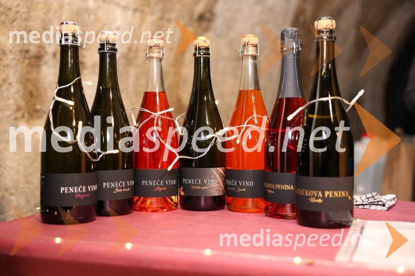 Vinska pot v rovih pod starim Kranjem 2025, sobota