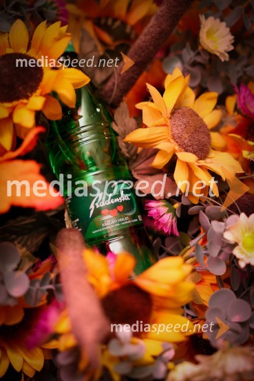 Vinska pot v rovih pod starim Kranjem 2025, sobota