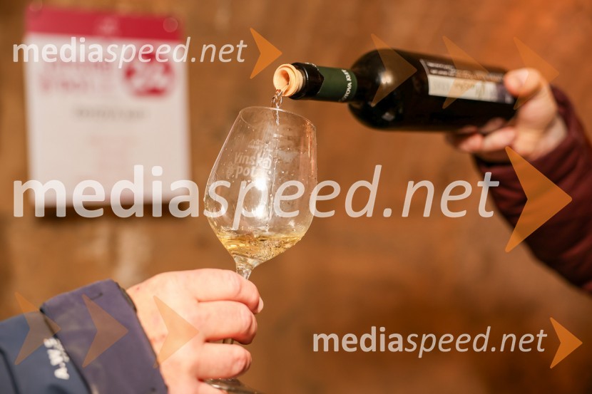 Vinska pot v rovih pod starim Kranjem 2025, sobota