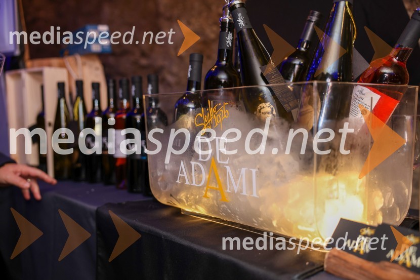 Vinska pot v rovih pod starim Kranjem 2025, sobota