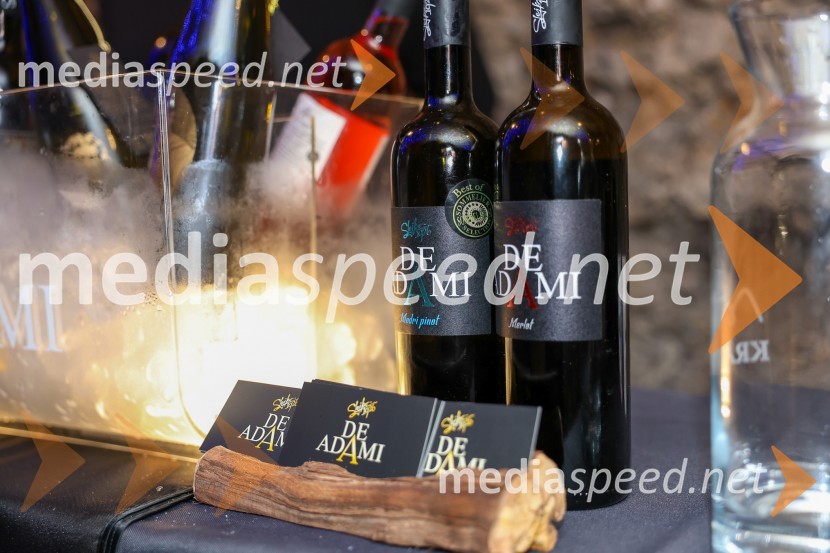 Vinska pot v rovih pod starim Kranjem 2025, sobota