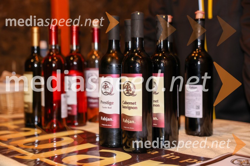 Vinska pot v rovih pod starim Kranjem 2025, sobota