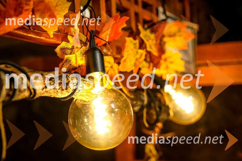 Vinska pot v rovih pod starim Kranjem 2025, sobota