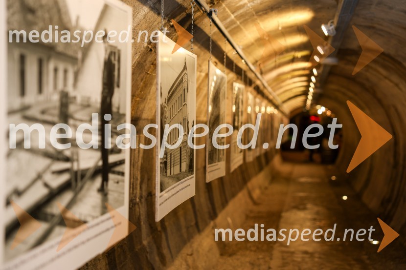 Vinska pot v rovih pod starim Kranjem 2025, sobota