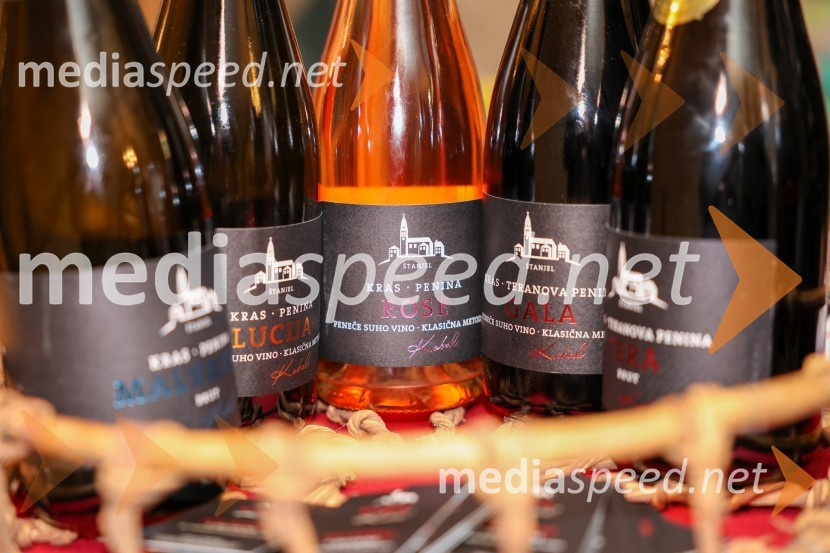 Vinska pot v rovih pod starim Kranjem 2025, sobota