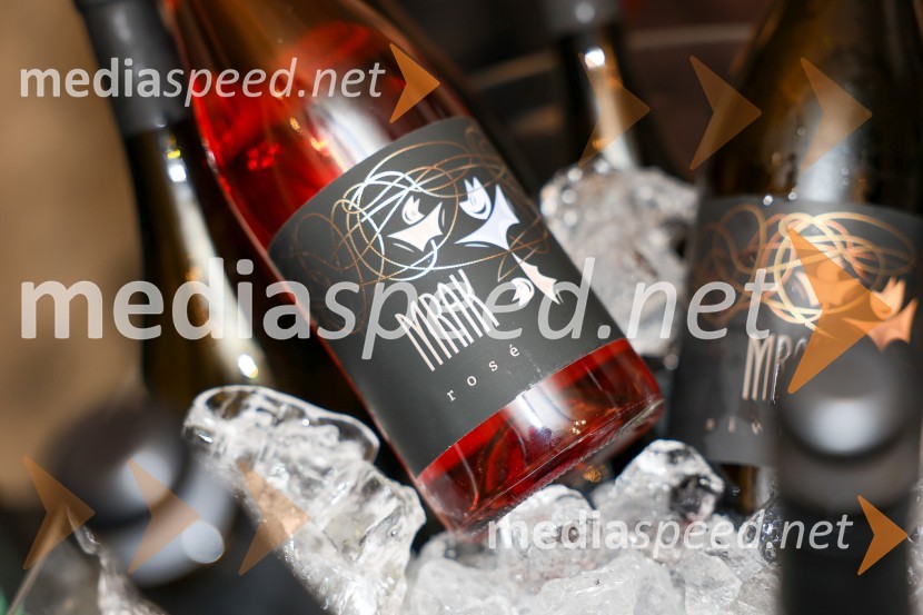 Vinska pot v rovih pod starim Kranjem 2025, sobota