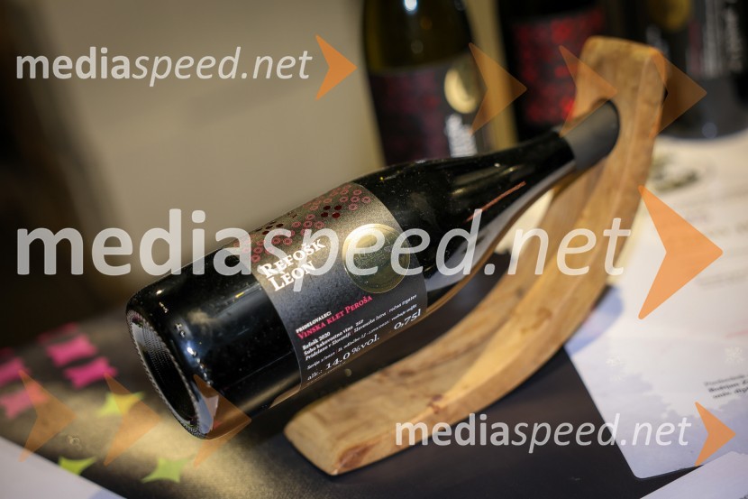 Vinska pot v rovih pod starim Kranjem 2025, sobota