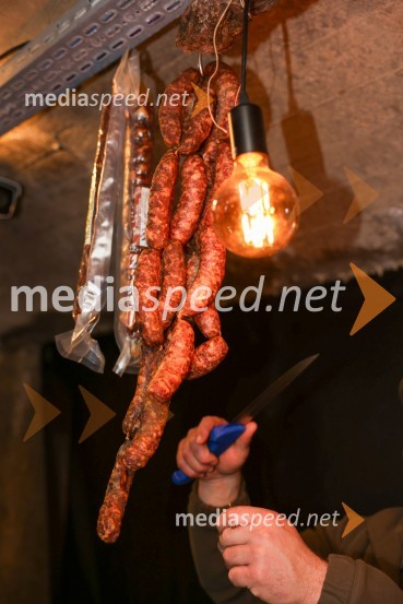 Vinska pot v rovih pod starim Kranjem 2025, sobota