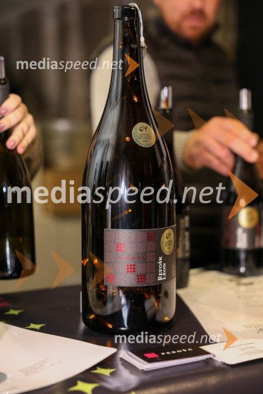 Vinska pot v rovih pod starim Kranjem 2025, sobota