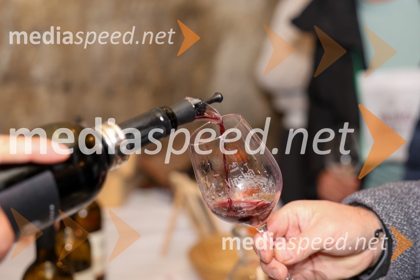 Vinska pot v rovih pod starim Kranjem 2025, sobota