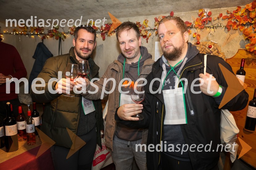 Vinska pot v rovih pod starim Kranjem 2025, sobota