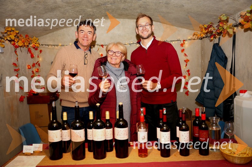 Vinska pot v rovih pod starim Kranjem 2025, sobota