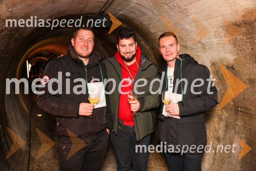 Vinska pot v rovih pod starim Kranjem 2025, sobota