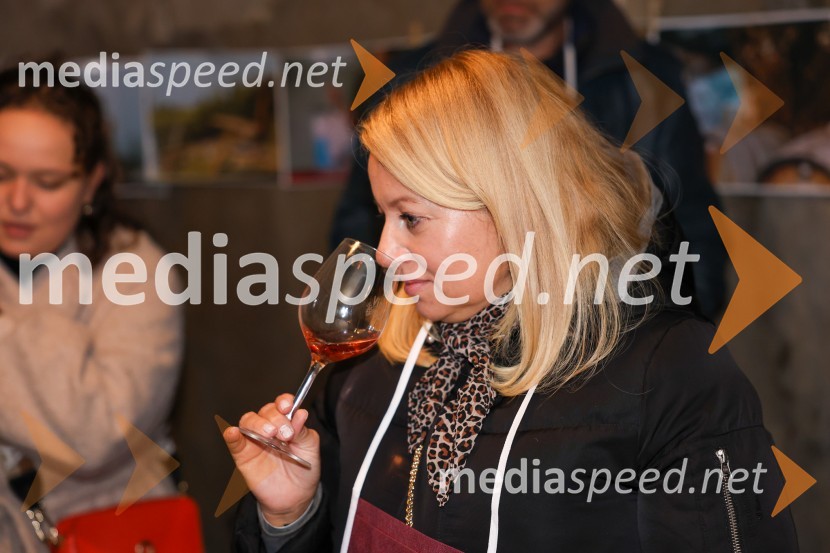 Vinska pot v rovih pod starim Kranjem 2025, sobota