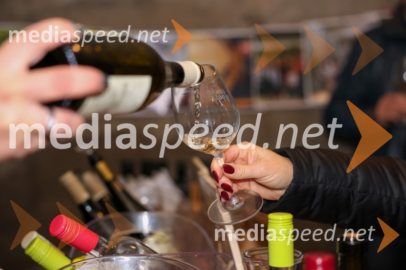 Vinska pot v rovih pod starim Kranjem 2025, sobota