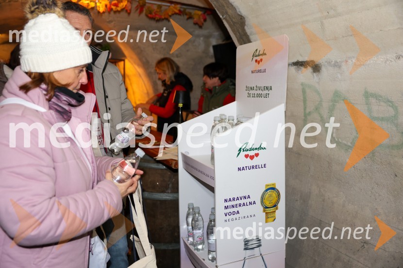 Vinska pot v rovih pod starim Kranjem 2025, sobota