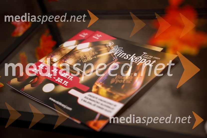 Vinska pot v rovih pod starim Kranjem 2025, sobota