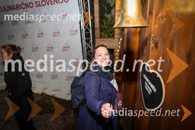 Vinska pot v rovih pod starim Kranjem 2025, sobota