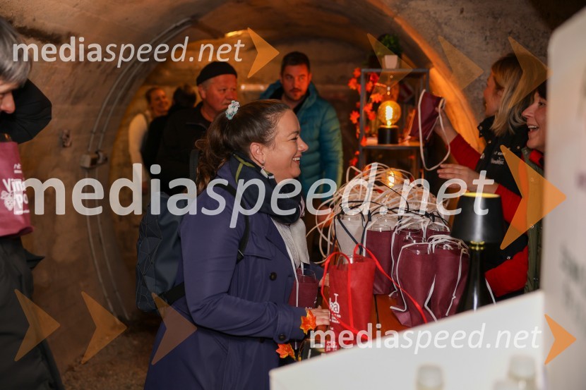 Vinska pot v rovih pod starim Kranjem 2025, sobota