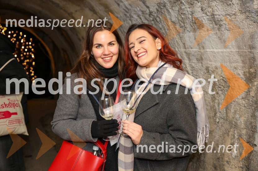 Vinska pot v rovih pod starim Kranjem 2025, sobota