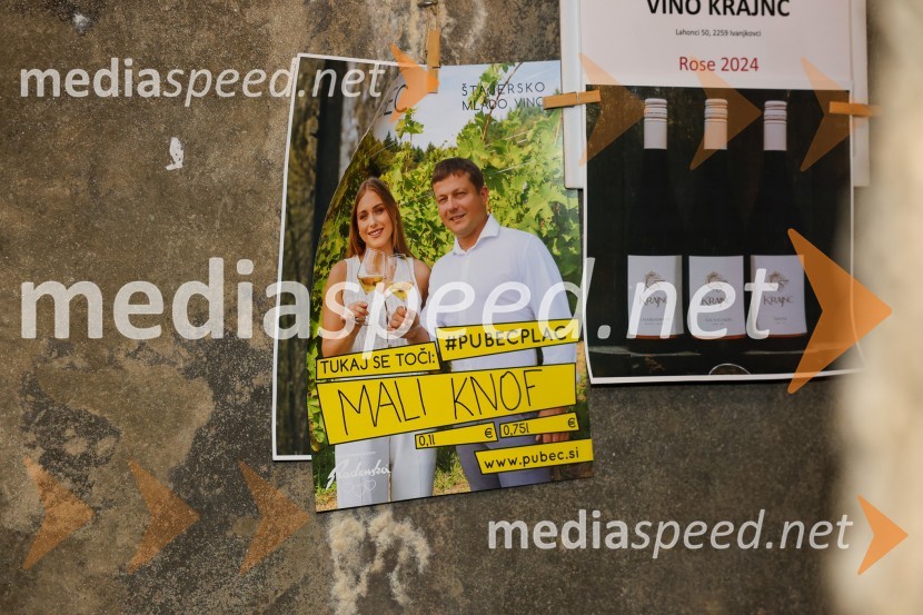 Vinska pot v rovih pod starim Kranjem 2025, sobota