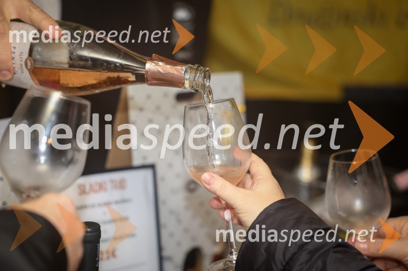 Vinska pot v rovih pod starim Kranjem 2025, sobota