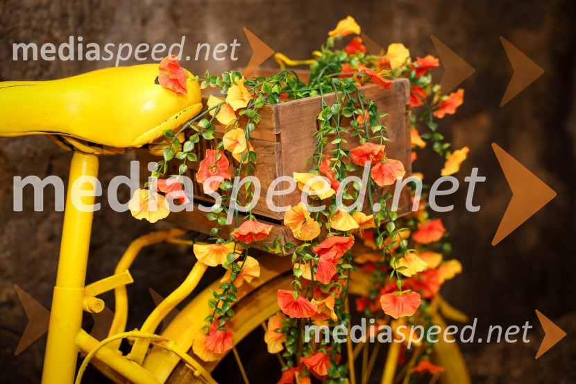 Vinska pot v rovih pod starim Kranjem 2025, sobota