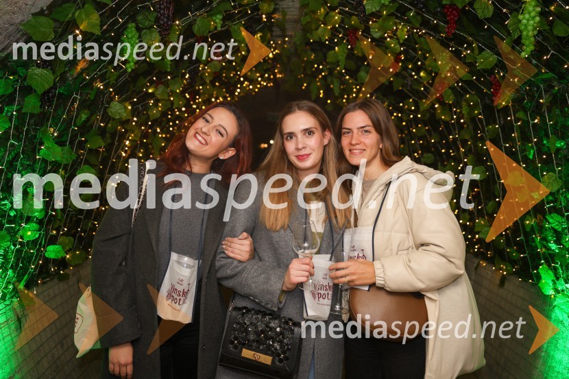 Vinska pot v rovih pod starim Kranjem 2025, sobota