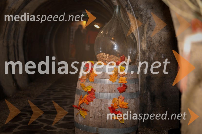 Vinska pot v rovih pod starim Kranjem 2025, sobota