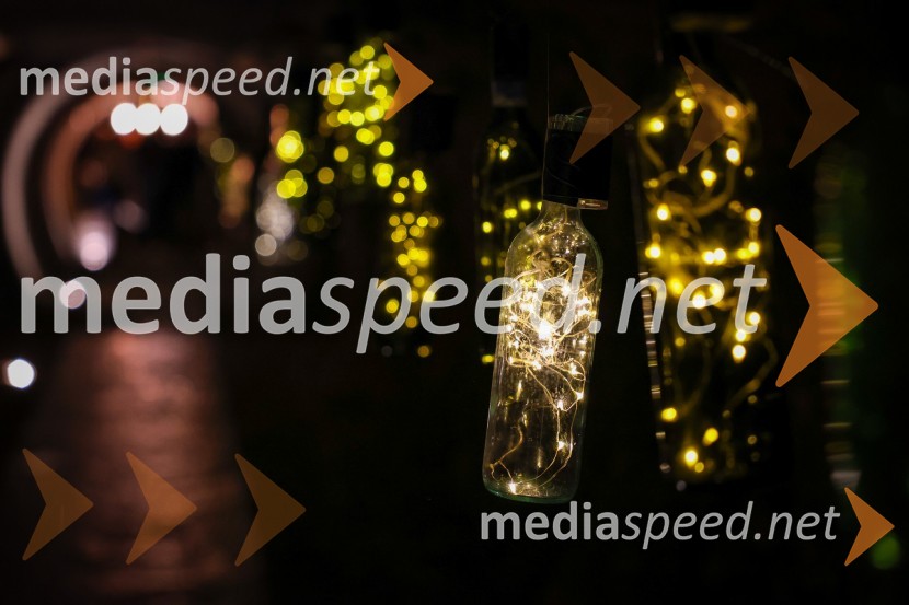 Vinska pot v rovih pod starim Kranjem 2025, sobota