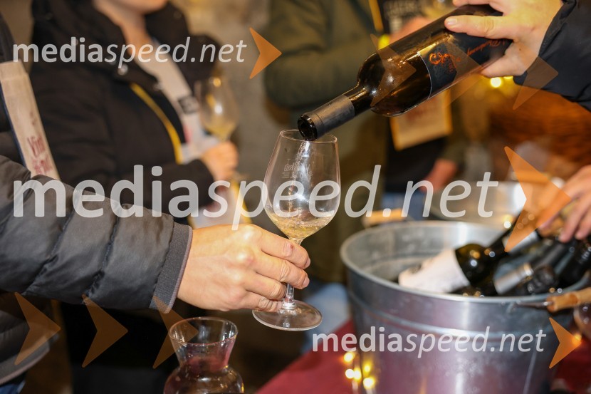 Vinska pot v rovih pod starim Kranjem 2025, sobota