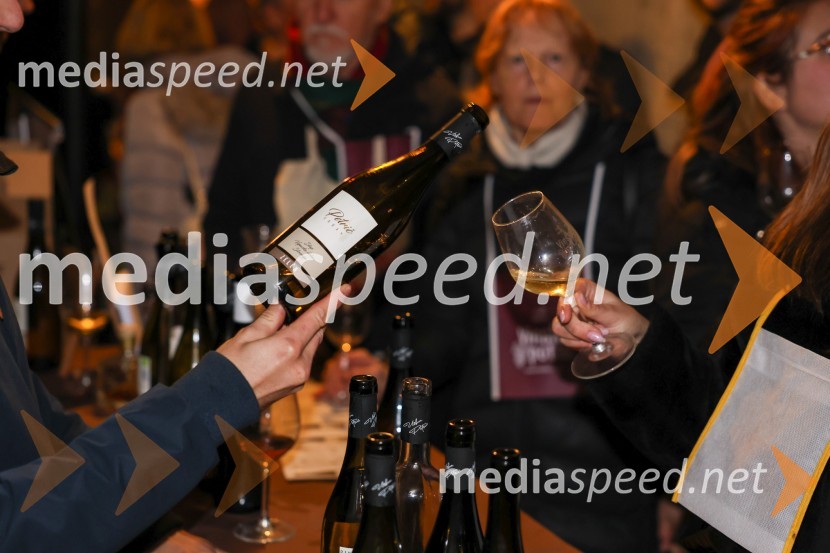 Vinska pot v rovih pod starim Kranjem 2025, sobota